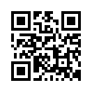 What's This? What's This?