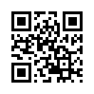 What's This? What's This?
