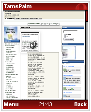  Tams Palm in Mini 4.0
