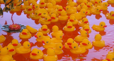  Duck Game at Marin (CA) County Fair