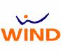 WIND Logo