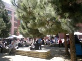 Mobilize lunch time