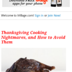 iVillage Mobile